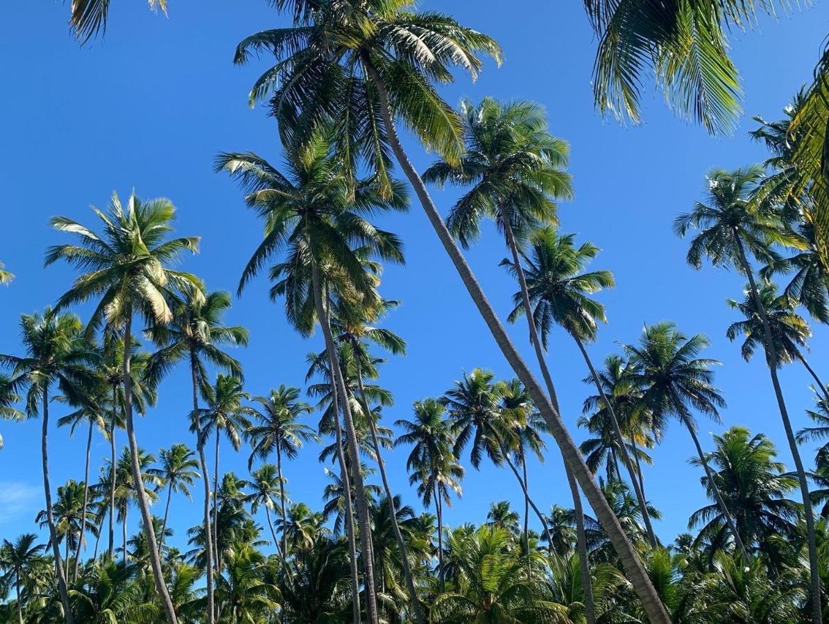 Flat 118 Eco Resort Praia Dos Carneiros Tamandaré المظهر الخارجي الصورة